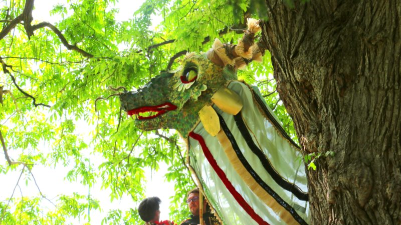 Dragonne arbre