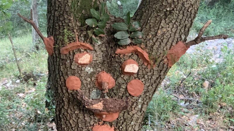 photo de land art
