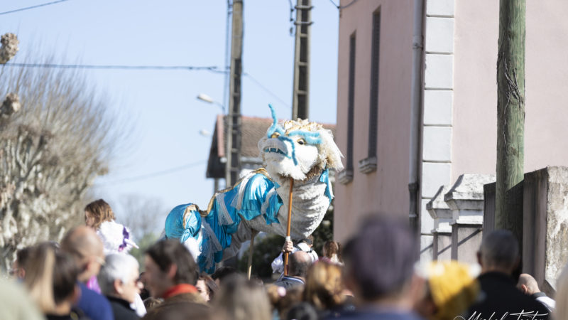 marioinnette dragon chinois