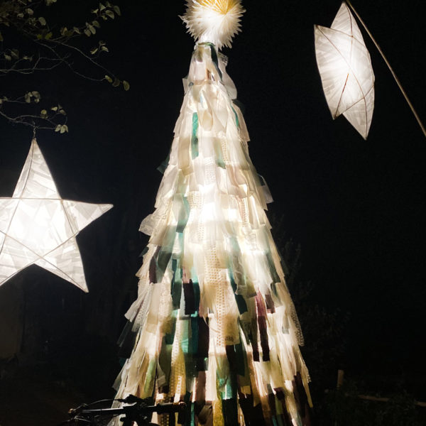 Sapin et etoiles nuit
