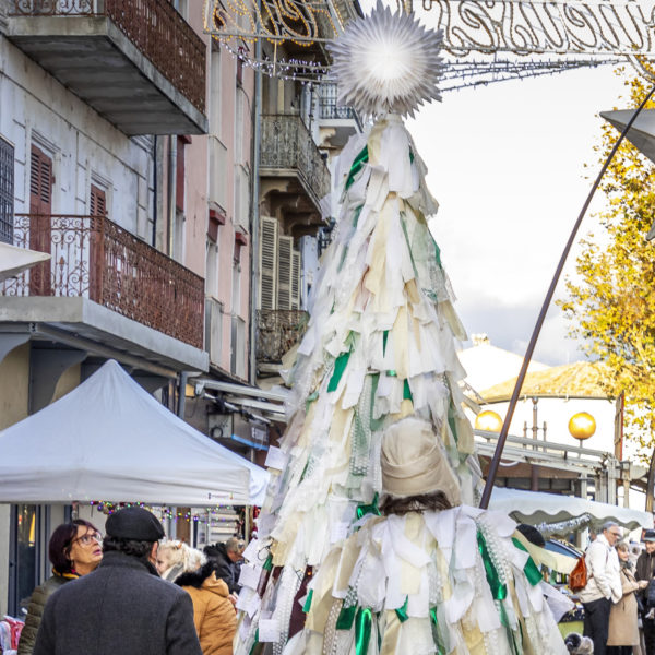 sapin et étoilés