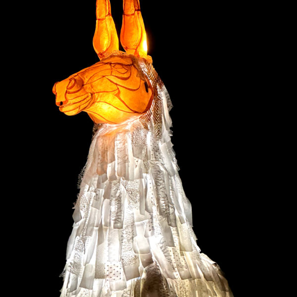 déambulation marionnette iluminée