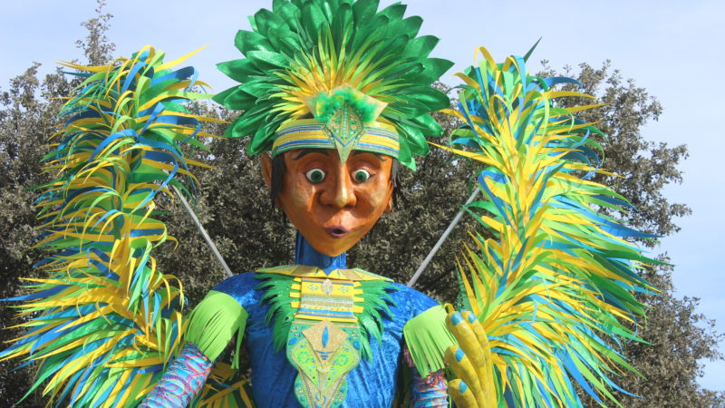 Bigpuppet Brésil Portrait arbre