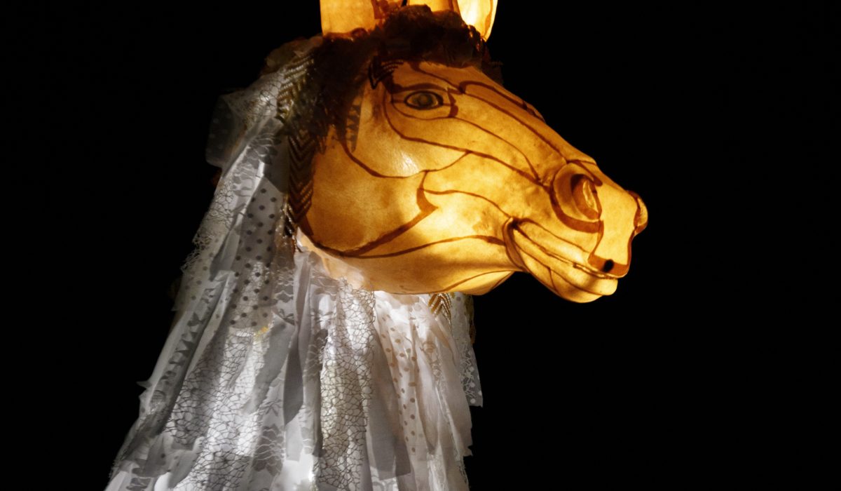 Marionnette geante lumineuse tête Ane