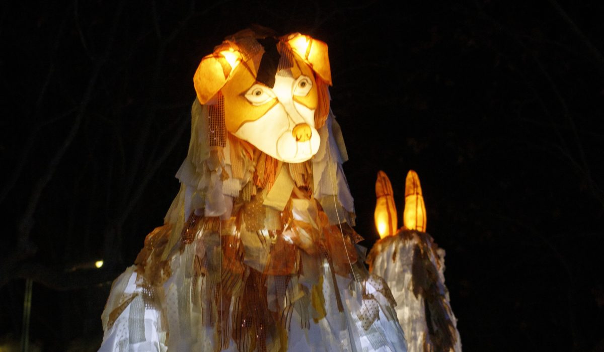 déambulation marionnettes géantes lumineuses chien 16.9 - Copie