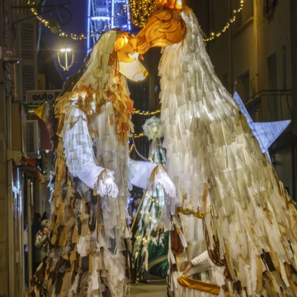 parade lumineuse marionnette géante et lanterne étoile arbre a voeux